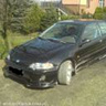 michal1993gibek