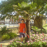pitrosowt