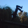 bartas2012