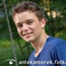 antekamorek