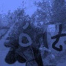 PxxP
