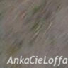 AnkaCieLoffa