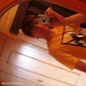 Mariusz56
