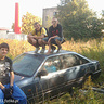 Jarosz1593572