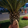 izabelka33333