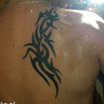 dawid251091
