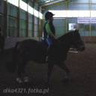 olka4321