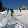 Tupus1995