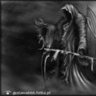 gustawa666