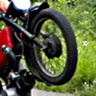 Paweleksr50