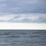 Bartekelo2