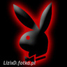 LizixD