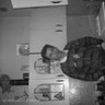 sylwek13222
