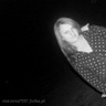 marzena7557