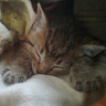 HeLovesMe