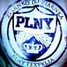 4DonRysiu