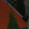 kogut24