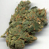 pionaZwagi