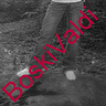 BoskiValdi