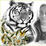lorencia2