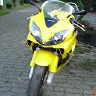 robert248