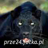 prze24