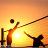 VolleyBall