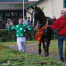 jockeys