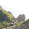 peksior19
