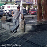 Maly2012