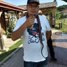 Pigen86
