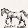 GaLLuS
