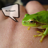 Semyazza