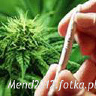 Mend2012