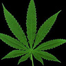 x3Dariax3