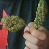 Blueberry69