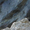 wojtek81