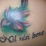 NilNisiBene