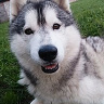 Lukasz8426