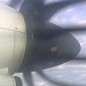 dosiek225