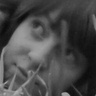x3paulinkaxD