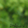 dodziaaq5