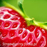 Straawberrry
