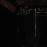 radzio8114