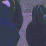 AlliWant