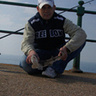 FIKOL88