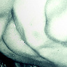 sruba9o