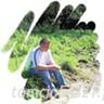 tomcio54321
