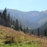 kalimali