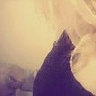 aniesia87